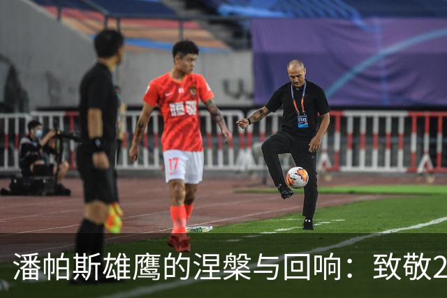 潘帕斯雄鹰的涅槃与回响：致敬2026的亚军，也致敬不屈的灵魂